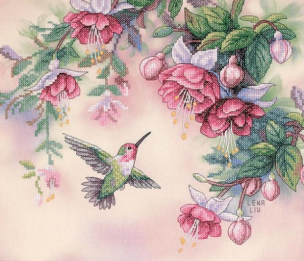 Hummingbird & Fuchsias