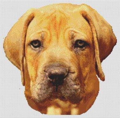 click here to view larger image of Boerboel (chart)
