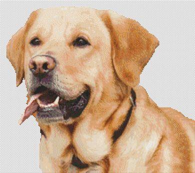 click here to view larger image of Yellow Lab Smile (chart)
