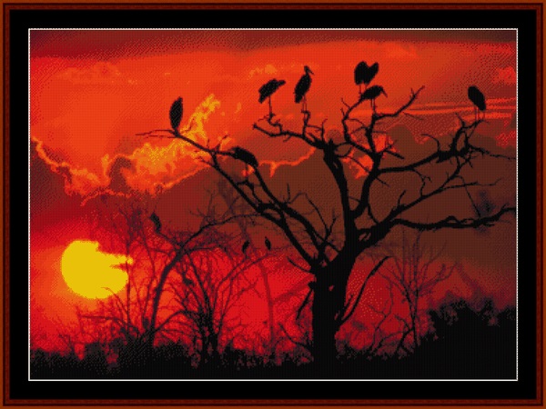 Botswana Sunset Africa