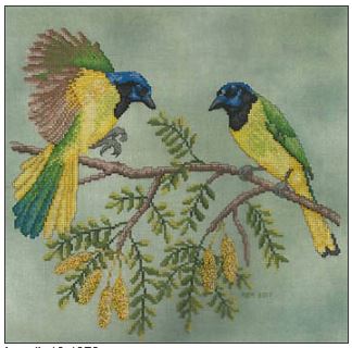 click here to view larger image of Green Jays (chart)