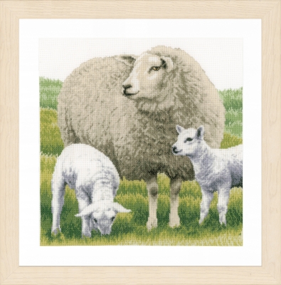 Sheep (14ct)