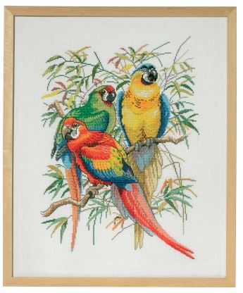 click here to view larger image of Parrot Trio (counted cross stitch kit)