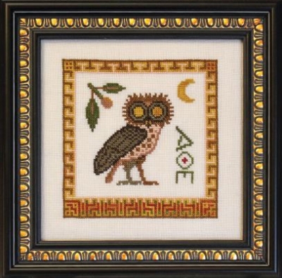 Athene Noctua (Athena's Owl)