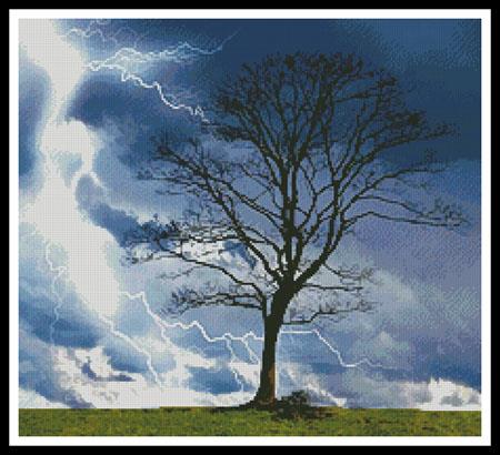Stormy Tree