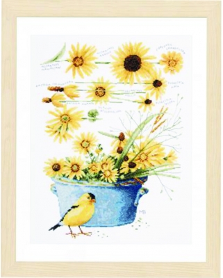 Helianthus Sunflowers by Marjolein Bastin