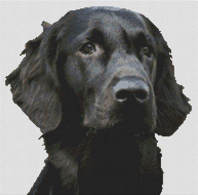 click here to view larger image of Black Flat Coated Retriever (chart)