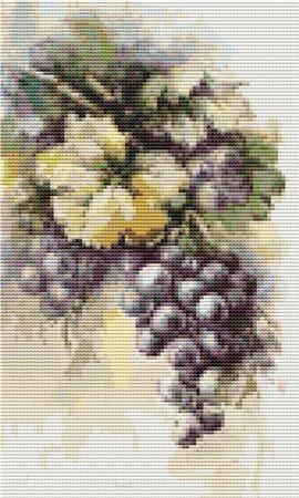 Grapes (Catherine Klein)