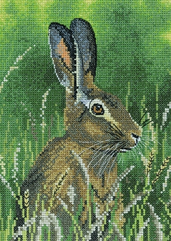 Hare (chart only)