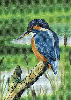 Kingfisher (chart only)
