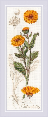 click here to view larger image of Calendula (counted cross stitch kit)