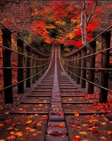 Bridge in Autumn