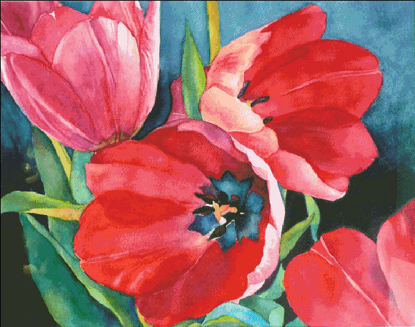 3 Red Tulips