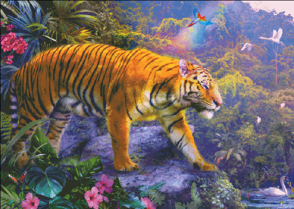 Rainbow Tiger 