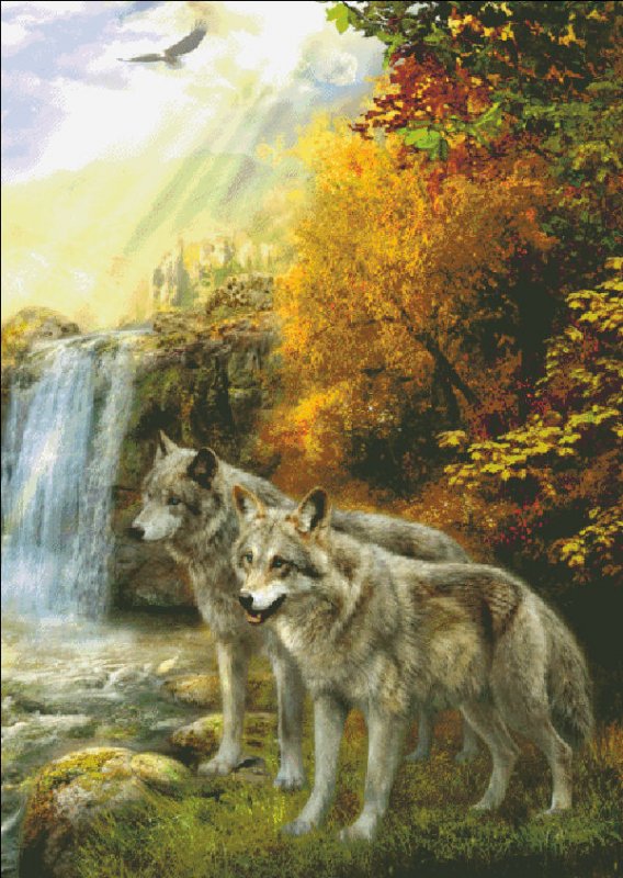 Wolf Falls