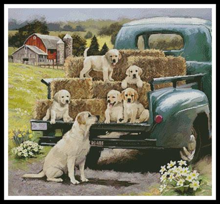 click here to view larger image of Green Truck Pups (chart)