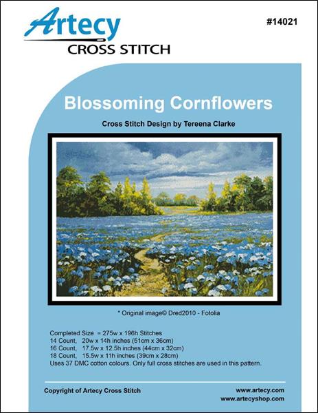 Blossoming Cornflowers
