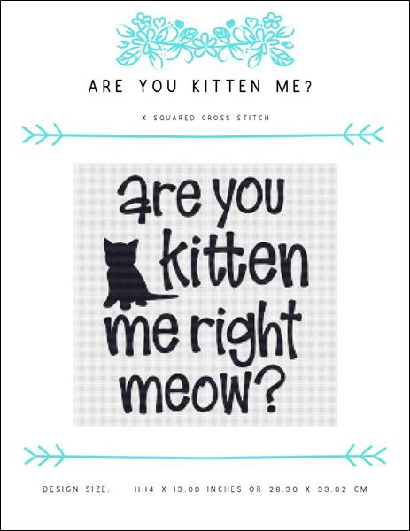 Are You Kitten Me?
