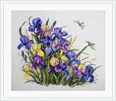 Irises - A
