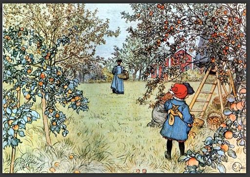 Apple Harvest - Carl Larsson