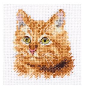 Animal Portraits - Ginger Cat