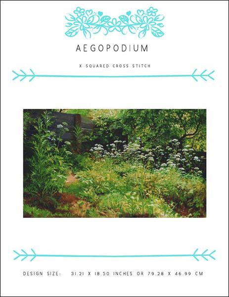 Aegopodium