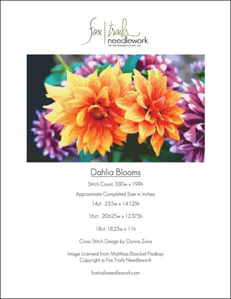 Dahlia Blooms