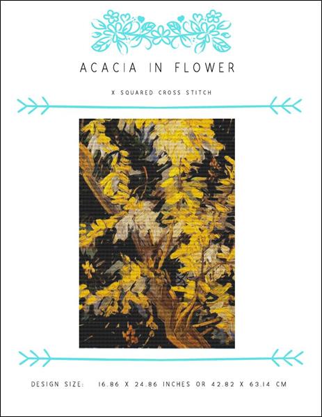 Acacia in Flower