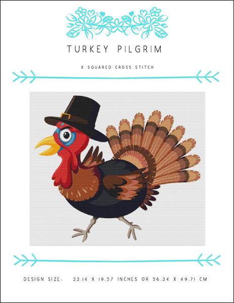 Turkey Pilgrim
