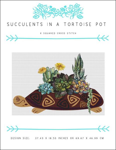 Succulents in a Tortoise Pot