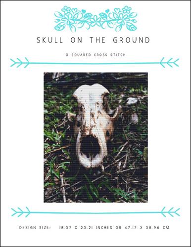 click here to view larger image of Skull on the Ground (chart)