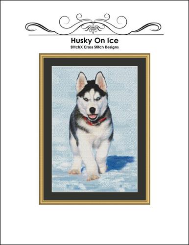 Husky On Ice