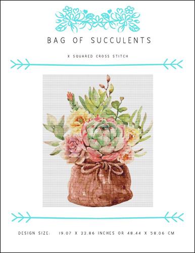 Bag Of Succulents