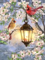 Spring Lantern With Cardinals