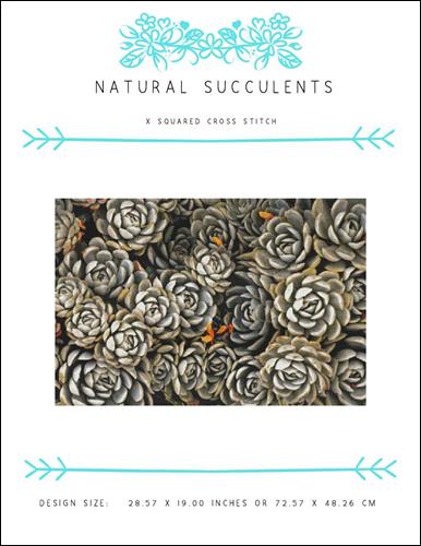 click here to view larger image of Natural Succulents (chart)