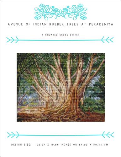 Avenue of Indian Rubber Trees at Peradeniya
