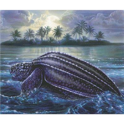 click here to view larger image of Moonlit Turtle (chart)
