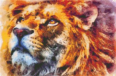 Lion Wild Portrait