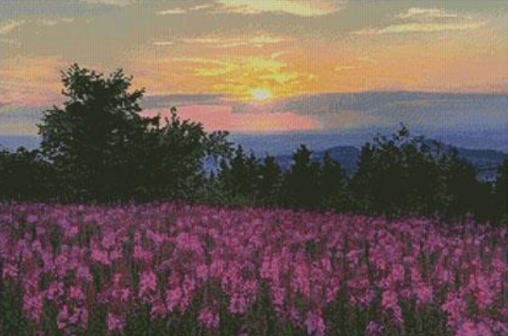 click here to view larger image of Fireweed Field (chart)