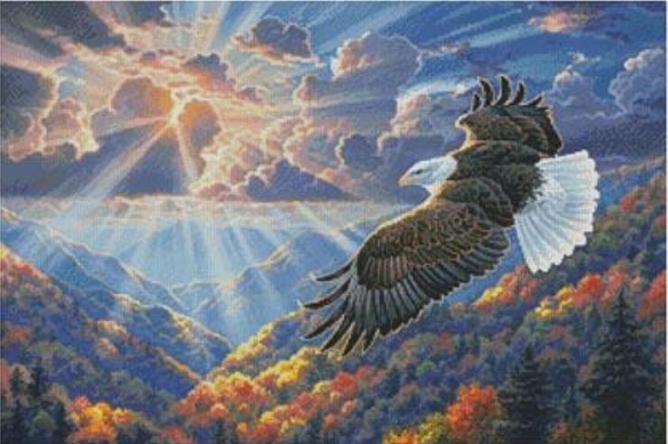 Covenant Eagle