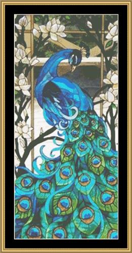 2020 Peacock Collection - 6