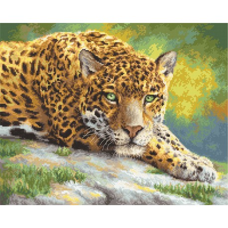 Peaceful Jaguar