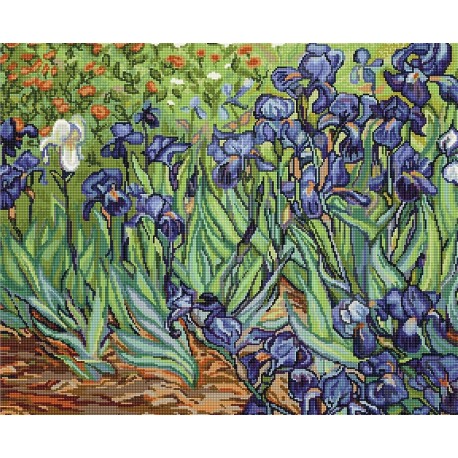 Irises Reproduction of Van Gogh