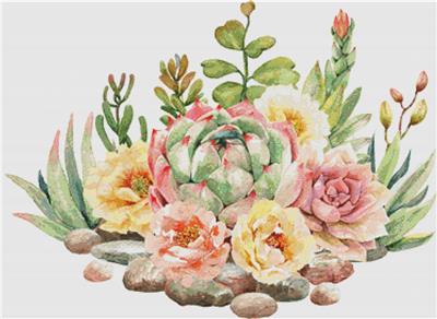 Arrangement of Succulents I