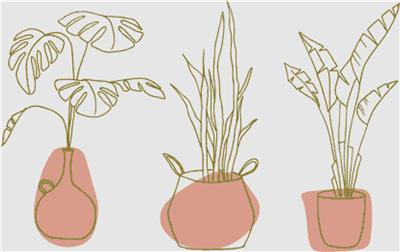 Abstract Pot Plants