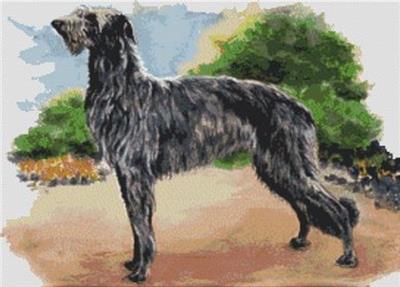 click here to view larger image of Scottish Deerhound (chart)