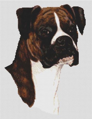 click here to view larger image of Brindle Boxer (chart)