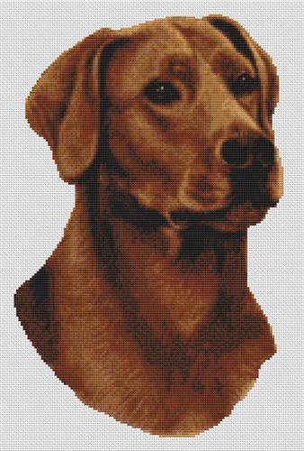 click here to view larger image of Fox Red Labrador (chart)