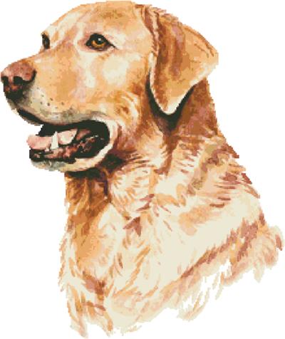 Labrador Retriever in Watercolor