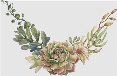 Arrangement of Succulents and Flowers
